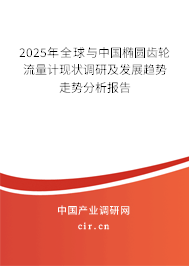 2025年全球與中國橢圓齒輪流量計現狀調研及發展趨勢走勢分析報告