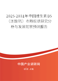 2025-2031年中國維生素B5（泛酸鈣）市場現狀研究分析與發展前景預測報告