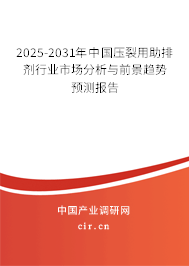 2025-2031年中國壓裂用助排劑行業市場分析與前景趨勢預測報告