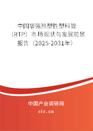 中國增強熱塑性塑料管（RTP）市場現狀與發展前景報告（2025-2031年）