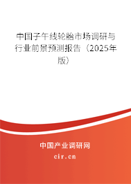 中國子午線輪胎市場調研與行業前景預測報告（2025年版）