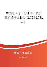 中國電動牙刷行業調研及投資前景分析報告（2025-2031年）