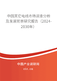 中國其它電線市場調查分析及發展前景研究報告（2023-2029年）