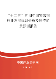 “十二五”期間中國窄帶鋼行業發展規劃分析及投資前景預測報告