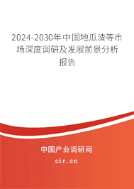 2023-2029年中國地瓜渣等市場深度調研及發展前景分析報告