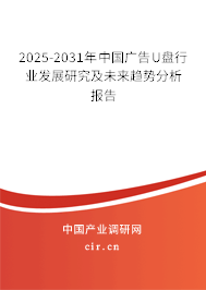 2025-2031年中國廣告U盤行業發展研究及未來趨勢分析報告