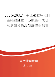 2025-2031年中國數據中心IT基礎設施第三方服務市場現狀調研分析及發展趨勢報告