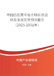 中國白石英平板市場現狀調研及發展前景預測報告（2025-2031年）