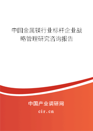 中國金屬鎂行業標桿企業戰略管理研究咨詢報告