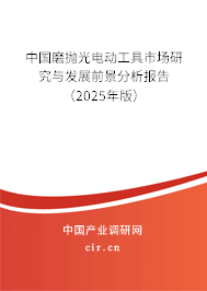 中國磨拋光電動工具市場研究與發展前景分析報告（2025年版）