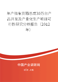 年產(chǎn)微車貨箱總成30萬(wàn)臺(tái)產(chǎn)品開發(fā)及產(chǎn)業(yè)化生產(chǎn)項(xiàng)目可行性研究分析報(bào)告（2012年）