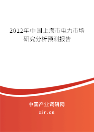 2012年中國上海市電力市場研究分析預測報告