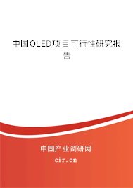 中國OLED項目可行性研究報告