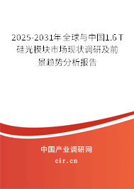2025-2031年全球與中國1.6T硅光模塊市場現(xiàn)狀調(diào)研及前景趨勢分析報告