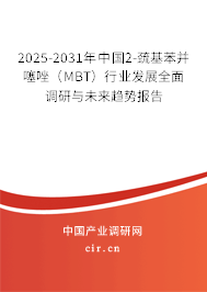 2025-2031年中國2-巰基苯并噻唑（MBT）行業發展全面調研與未來趨勢報告