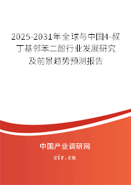 2025-2031年全球與中國4-叔丁基鄰苯二酚行業發展研究及前景趨勢預測報告