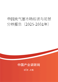 中國充氣塞市場現狀與前景分析報告（2025-2031年）