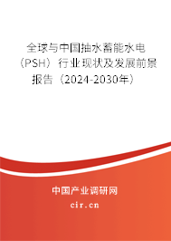 全球與中國抽水蓄能水電（PSH）行業現狀及發展前景報告（2024-2030年）