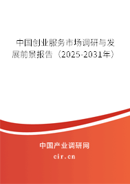 中國(guó)創(chuàng)業(yè)服務(wù)市場(chǎng)調(diào)研與發(fā)展前景報(bào)告（2025-2031年）