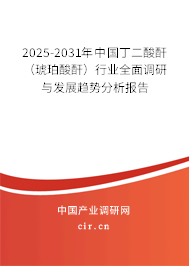 2025-2031年中國丁二酸酐（琥珀酸酐）行業全面調研與發展趨勢分析報告