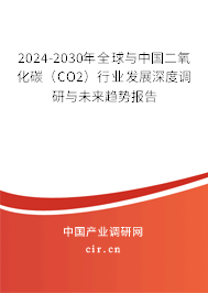 2024-2030年全球與中國二氧化碳（CO2）行業發展深度調研與未來趨勢報告