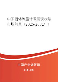 中國固體流量計發展現狀與市場前景（2025-2031年）