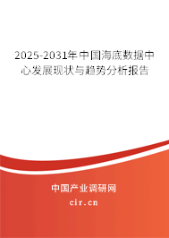 2025-2031年中國(guó)海底數(shù)據(jù)中心發(fā)展現(xiàn)狀與趨勢(shì)分析報(bào)告