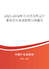 2025-2031年河北靈活用工行業研究與發展趨勢分析報告