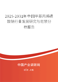 2025-2031年中國甲基丙烯磺酸鈉行業發展研究與前景分析報告