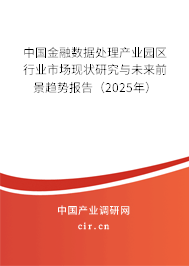 中國金融數據處理產業園區行業市場現狀研究與未來前景趨勢報告（2025年）