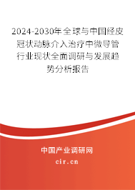 2024-2030年全球與中國經(jīng)皮冠狀動(dòng)脈介入治療中微導(dǎo)管行業(yè)現(xiàn)狀全面調(diào)研與發(fā)展趨勢分析報(bào)告