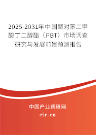 2025-2031年中國聚對苯二甲酸丁二醇酯（PBT）市場調查研究與發展前景預測報告
