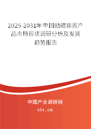 2025-2031年中國勵磁裝置產品市場現狀調研分析及發展趨勢報告