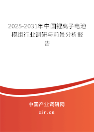 2025-2031年中國鋰離子電池模組行業調研與前景分析報告
