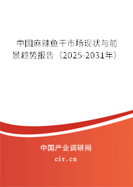 中國麻辣魚干市場現(xiàn)狀與前景趨勢報(bào)告（2025-2031年）