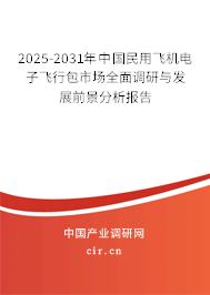 2025-2031年中國民用飛機電子飛行包市場全面調研與發展前景分析報告