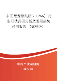 中國尼龍聚酰胺6（PA6）行業現狀調研分析及發展趨勢預測報告（2025版）