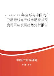 2024-2030年全球與中國汽車衛星無線電天線市場現狀深度調研與發展趨勢分析報告