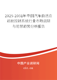 2025-2031年中國汽車自適應巡航控制系統行業市場調研與前景趨勢分析報告