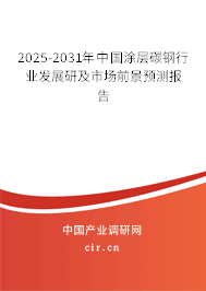 2024-2030年中國涂層碳鋼行業發展研及市場前景預測報告