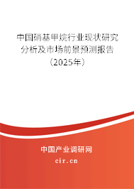中國硝基甲烷行業現狀研究分析及市場前景預測報告（2025年）