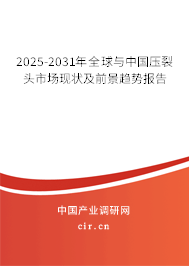 2025-2031年全球與中國壓裂頭市場現狀及前景趨勢報告