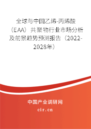 全球與中國乙烯-丙烯酸（EAA）共聚物行業(yè)市場分析及前景趨勢預(yù)測報告（2022-2028年）