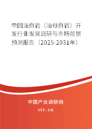 中國油頁巖（油母頁巖）開發行業發展調研與市場前景預測報告（2025-2031年）