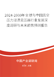 2024-2030年全球與中國真空壓力浸漬變壓器行業發展深度調研與未來趨勢預測報告