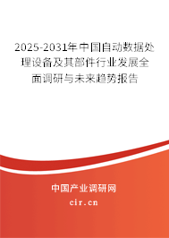 2025-2031年中國自動數據處理設備及其部件行業發展全面調研與未來趨勢報告
