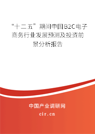 “十二五”期間中國B2C電子商務行業發展預測及投資前景分析報告