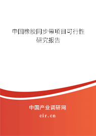 中國橡膠同步帶項(xiàng)目可行性研究報(bào)告