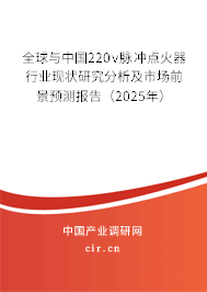 全球與中國220v脈沖點火器行業現狀研究分析及市場前景預測報告（2025年）