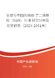 全球與中國丙烯腈-丁二烯橡膠（NBR）行業研究分析及前景趨勢（2025-2031年）